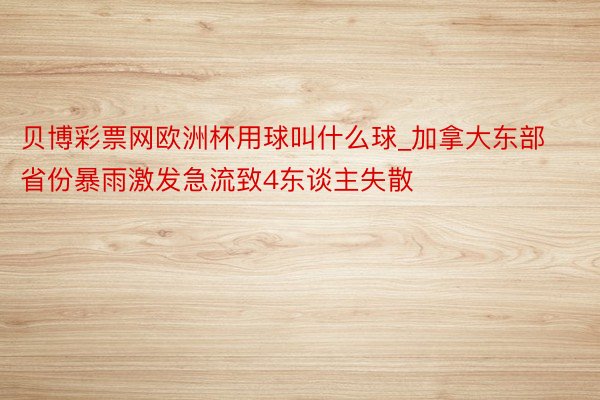 贝博彩票网欧洲杯用球叫什么球_加拿大东部省份暴雨激发急流致4东谈主失散