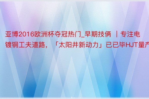 亚博2016欧洲杯夺冠热门_早期技俩 ｜专注电镀铜工夫道路，「太阳井新动力」已已毕HJT量产