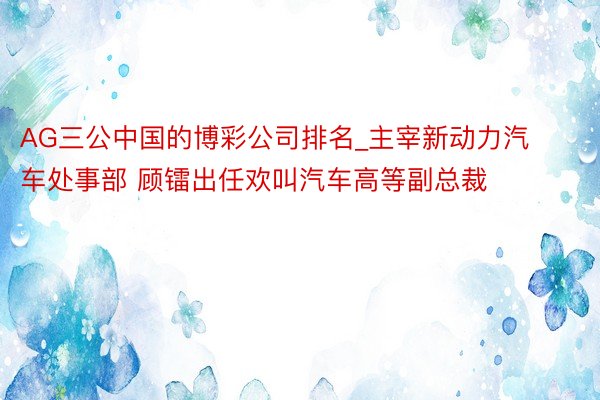 AG三公中国的博彩公司排名_主宰新动力汽车处事部 顾镭出任欢叫汽车高等副总裁