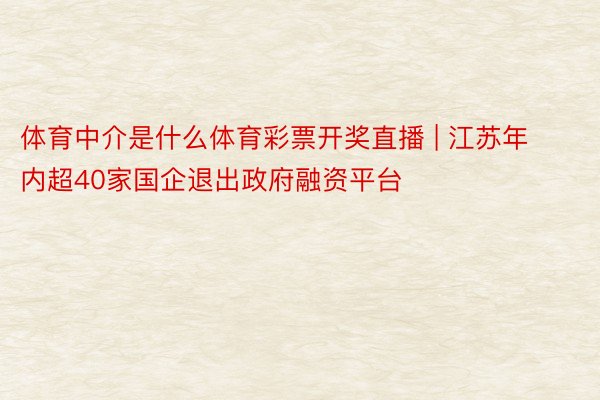 体育中介是什么体育彩票开奖直播 | 江苏年内超40家国企退出政府融资平台