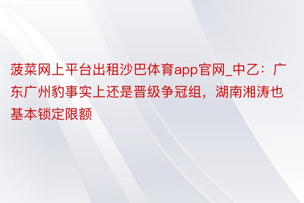 菠菜网上平台出租沙巴体育app官网_中乙：广东广州豹事实上还是晋级争冠组，湖南湘涛也基本锁定限额