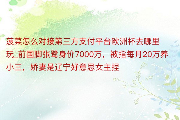 菠菜怎么对接第三方支付平台欧洲杯去哪里玩_前国脚张鹭身价7000万，被指每月20万养小三，娇妻是辽宁好意思女主捏