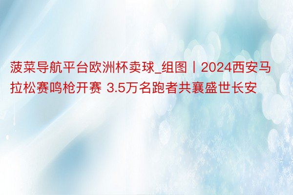 菠菜导航平台欧洲杯卖球_组图丨2024西安马拉松赛鸣枪开赛 3.5万名跑者共襄盛世长安