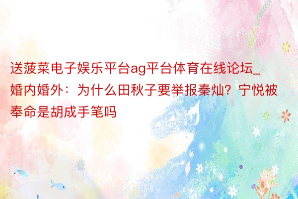 送菠菜电子娱乐平台ag平台体育在线论坛_婚内婚外：为什么田秋子要举报秦灿？宁悦被奉命是胡成手笔吗