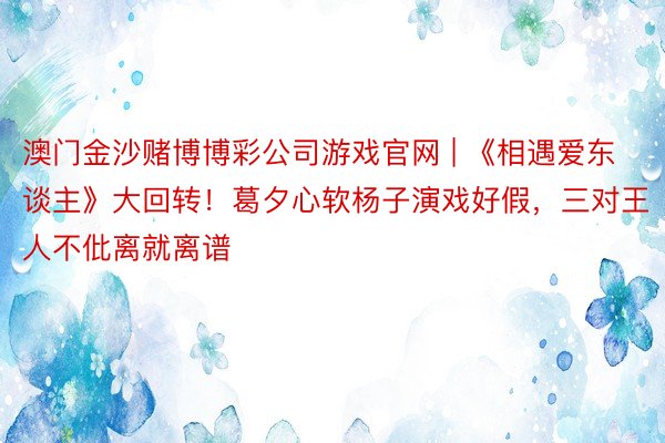 澳门金沙赌博博彩公司游戏官网 | 《相遇爱东谈主》大回转！葛夕心软杨子演戏好假，三对王人不仳离就离谱